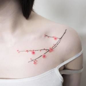 Meet your Posher, Juvy